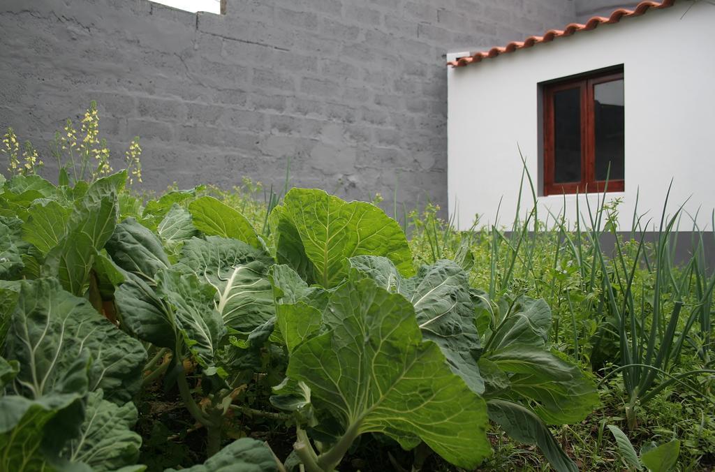 Casa Azul Natura Ponta Delgada Eksteriør bilde